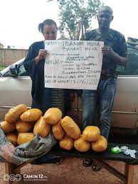 NDLEA arrests doctor for allegedly selling drugged cookies, cocaine in Edo
