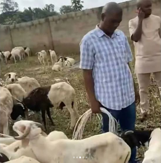 Shina Peller Donates Rams To 500 Families In His Constituency