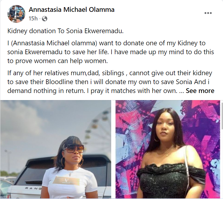 Lady Offers Ekweremadu’s Daughter Kidney, Family Kicks